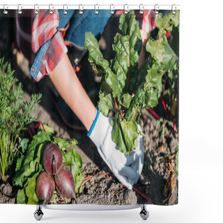 Personality  Farmer Harvesting Beets Shower Curtains