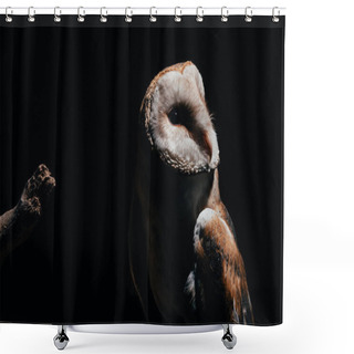 Personality  Cute Wild Barn Owl On Wooden Branch In Dark Isolated On Black Shower Curtains