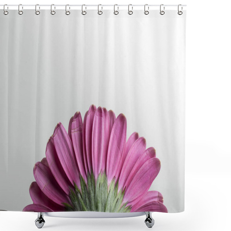 Personality  Flowers, Macro Of Half A Pink Petal Flower Viewed From Behind On A White Background With Space To Write, Horizontal Photo Shower Curtains