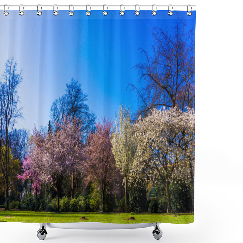 Personality  Spring nature background.  Spring landscape shower curtains