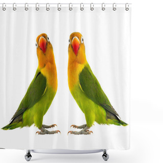 Personality   Two Fischeri Lovebirds Shower Curtains