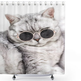 Personality  Funny British Silver Cat In Glasses, On A White Background. Pets Shower Curtains