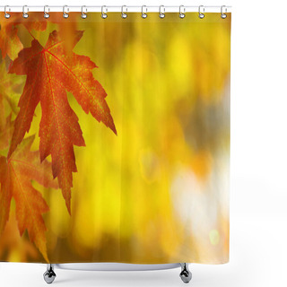 Personality  Fall.Autumn Background Shower Curtains