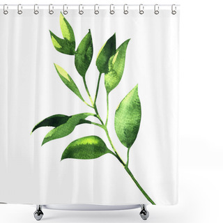 Personality  Fresh Branch Of Laurel Shower Curtains