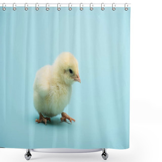Personality  Cute Small Chick On Blue Background Shower Curtains