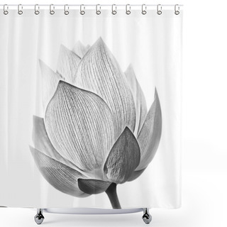 Personality  Lotus Flower Shower Curtains