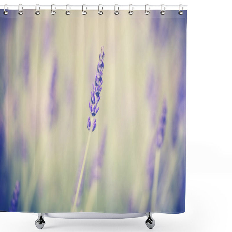 Personality  Retro Toned Lavender Flower, Shallow Depth Of Field. Shower Curtains