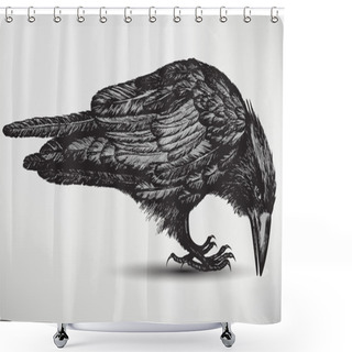 Personality  Black Raven Bird, Hand-drawing. Vector Illustration. Shower Curtains