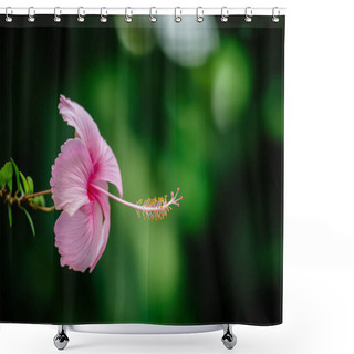 Personality  Pink Hibiscus Tropical Flower Plant In Bloom Green Backdrop Elegant Delicate Shower Curtains