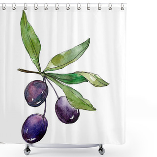 Personality  Olives On Branch With Green Leaves. Botanical Garden Floral Foliage. Watercolor Background Illustration. Watercolour Drawing Fashion Aquarelle Isolated On White Background. Shower Curtains