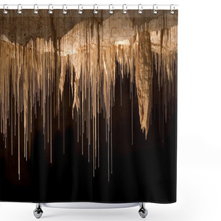 Personality  Lace Shower Curtains