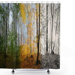 Personality  Morning In Forest Shower Curtains