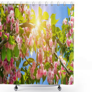 Personality  Spring Flowers. Beautifully Blossoming Tree Cherry Branch. Wide Photo . Shower Curtains