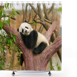 Personality  Sleeping Giant Panda Baby Shower Curtains