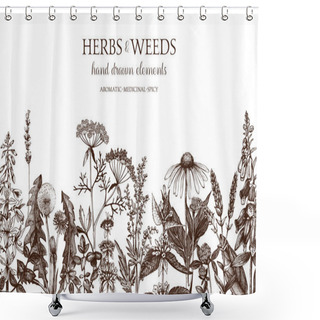 Personality  Hand Drawn Herbs And Weeds Illustration Shower Curtains