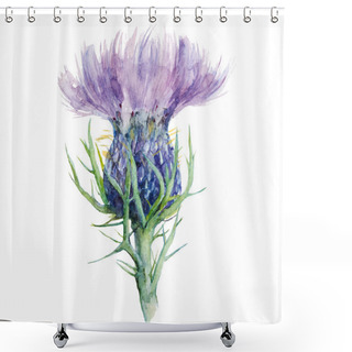 Personality  Milk Thistle, Flower Watercolor Painting, Vector Illustration. Shower Curtains