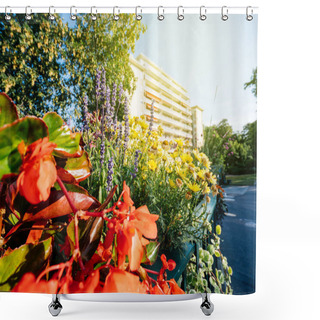 Personality  Vivid Diverse In Red  Bloom Summer Flowers Plants Wide Angle Lens View With Large Apartment House Complex In The Background Shower Curtains