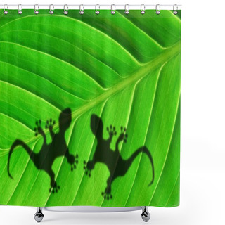 Personality  Tropical Background Shower Curtains