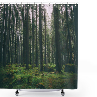 Personality  Forest Shower Curtains