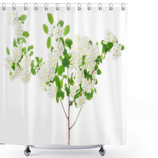 Personality  Hawthorn Shower Curtains
