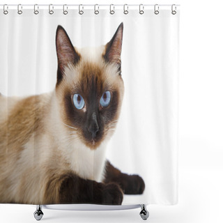 Personality  Siamese Cat Shower Curtains