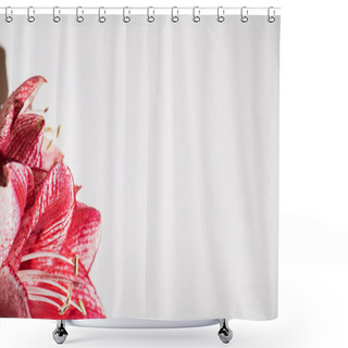 Personality  Close Up View Of Red Lilies Isolated On White Shower Curtains