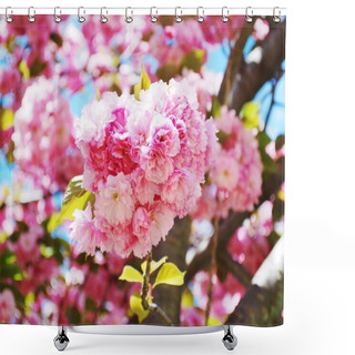Personality  Japanese Cherry Shower Curtains