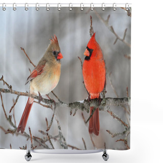 Personality  Cardinals In Snow Shower Curtains