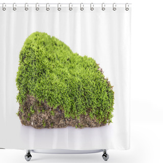 Personality  Green Moss Grow On Soil On White Background Shower Curtains