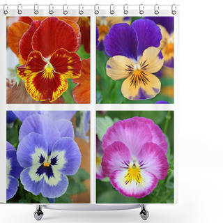 Personality  Collage With 4 Pansy Flowers Shower Curtains