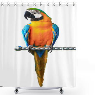 Personality  Colorful Red Parrot Macaw Isolated On White Background Shower Curtains