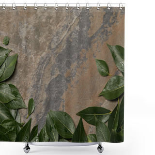 Personality  Green Wet Foliage On Stone Background With Copy Space Shower Curtains