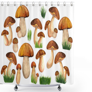 Personality  Watercolor Porcini Set Isolated White Background Shower Curtains