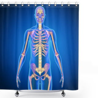 Personality  Human Skeleton Anatomy Shower Curtains