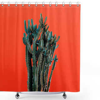 Personality  Cactus On Red Background. Minimal Design Photo Shower Curtains