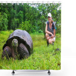 Personality  Galapagos Giant Tortoise With Young Woman (blurred In Background Shower Curtains