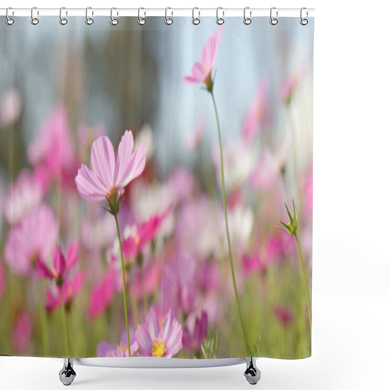 Personality  Cosmos flower farm close up  shower curtains