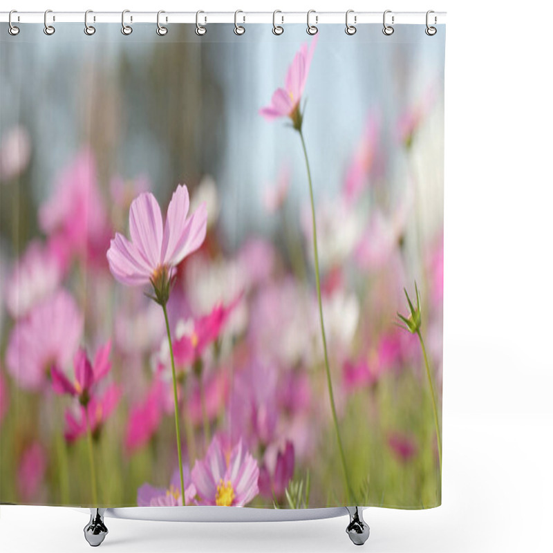 Personality  Cosmos Flower Farm Close Up  Shower Curtains