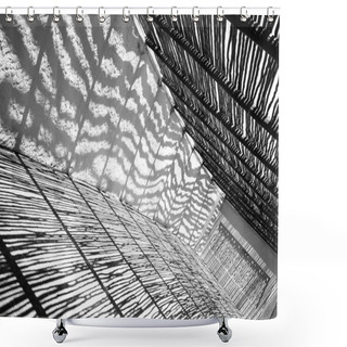 Personality  Shadows Black And White Shower Curtains