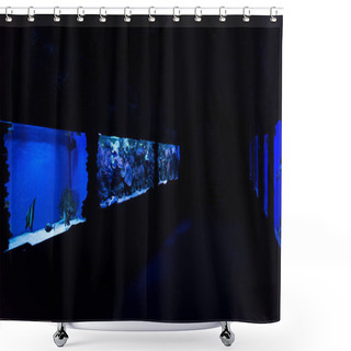 Personality  Fishes Swimming Under Water In Aquariums With Blue Lighting In Oceanarium Shower Curtains