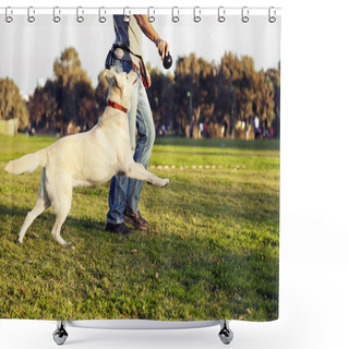 Personality  Labrador And Trainer With Dog Chew Toy At Park Shower Curtains