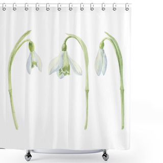 Personality  Watercolor Snowdrop Flowers Shower Curtains