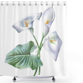 Personality  Illustration With Calla. Shower Curtains