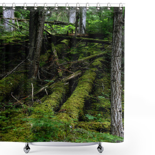 Personality  Mount Robson Provincial Park Shower Curtains