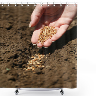 Personality  Sowing Seeds Into Soil Shower Curtains
