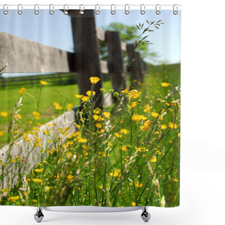 Personality  Yellow Buttercups Growing Near Farm Fence In A Green Meadow Shower Curtains