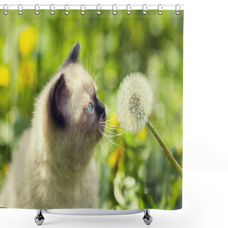 Personality  Kitten On The Dandelion Lawn Shower Curtains