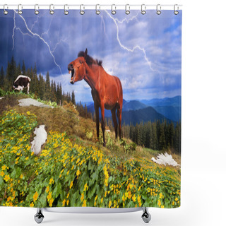 Personality  Horse In Carpathian Mountains Shower Curtains