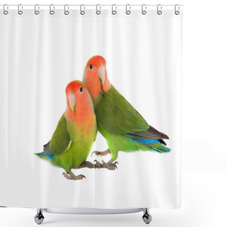 Personality  Two Lovebird On A White Shower Curtains