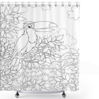 Personality  Toucan With A Funny Beak Perched On A Tree Branch In Tropical Jungle On A Sunny Summer Day, Black And White Vector Illustrations In A Cartoon Style For A Coloring Book Shower Curtains